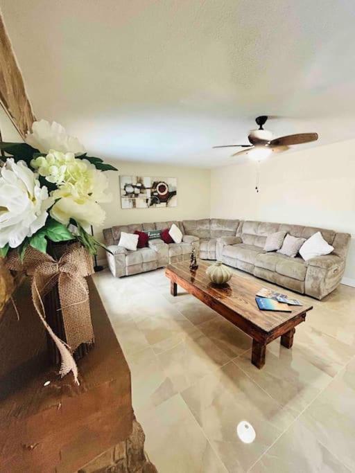 Holiday home Vintage Family Scape + Heated Pool&discount Tampa