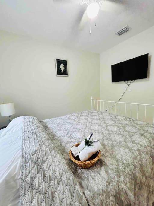 Vintage Family Scape + Heated Pool&discount