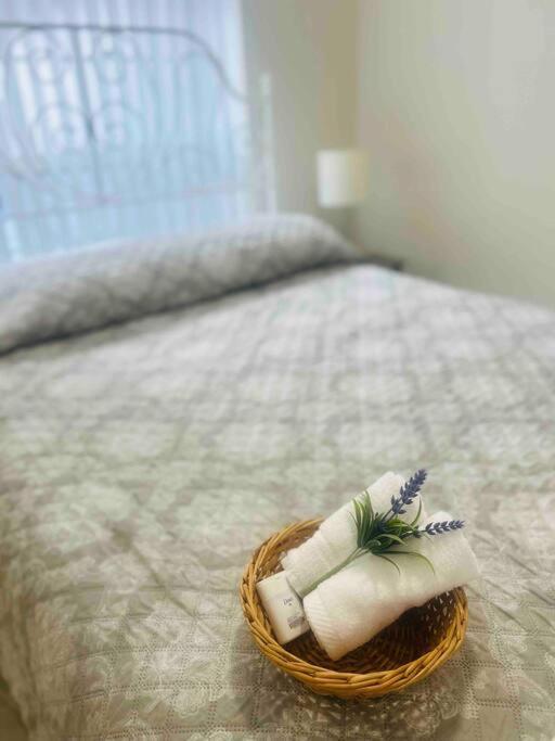 Vintage Family Scape + Heated Pool&discount Tampa